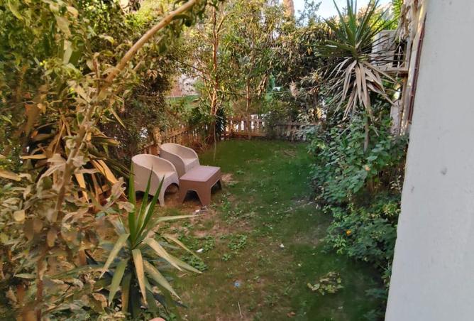 8119703 - Property Image 3