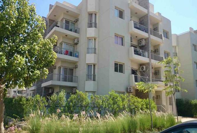 7981839 - Property Image 3