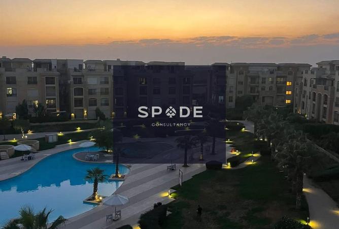 8491865 - Property Image 3