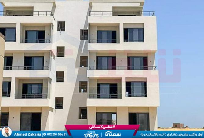 8375350 - Property Image 3