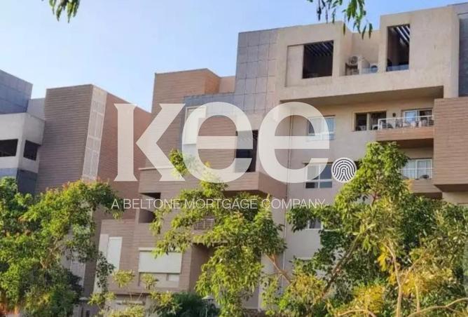 8438395 - Property Image 3