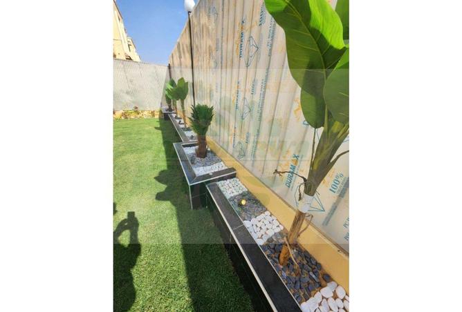 7019565 - Property Image 3