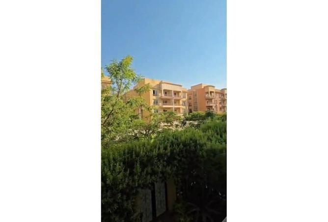 8074045 - صورة العقار 2