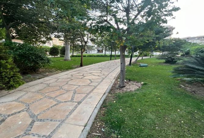 8075129 - Property Image 3