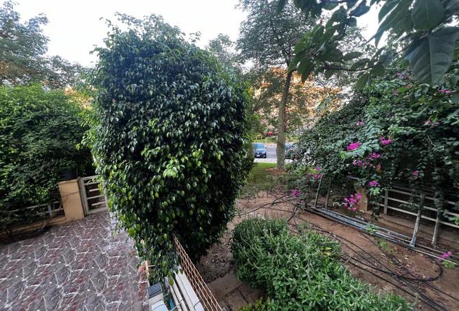 8311845 - الصورة الرئيسية للعقار