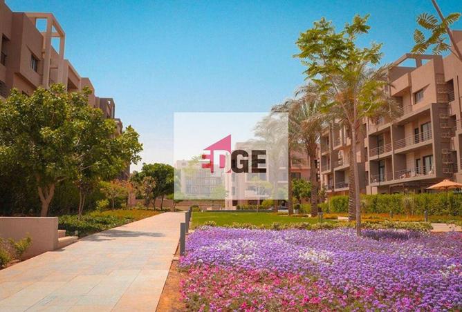 8451820 - صورة العقار 3