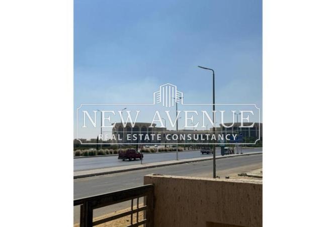 8089844 - Property Image 3