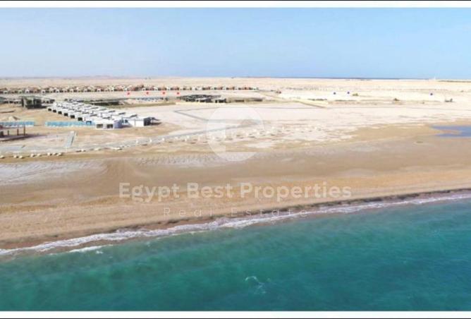 7924330 - صورة العقار 3