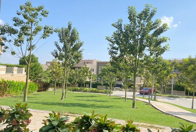 7987205 - الصورة الرئيسية للعقار