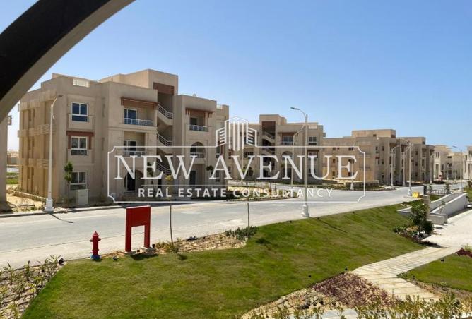 8204741 - Property Main Image