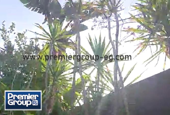 8272970 - صورة العقار 2