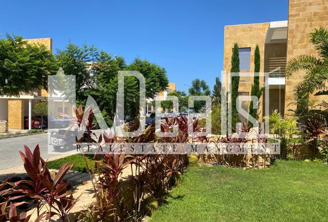8050471 - Property Image 3