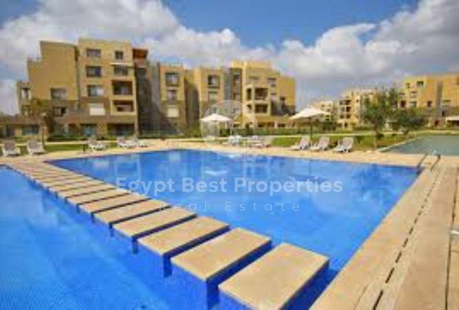7973294 - Property Image 2