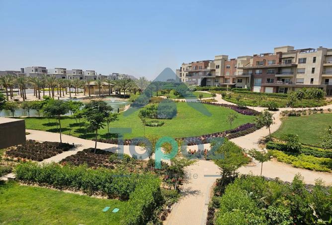 8332429 - Property Image 3