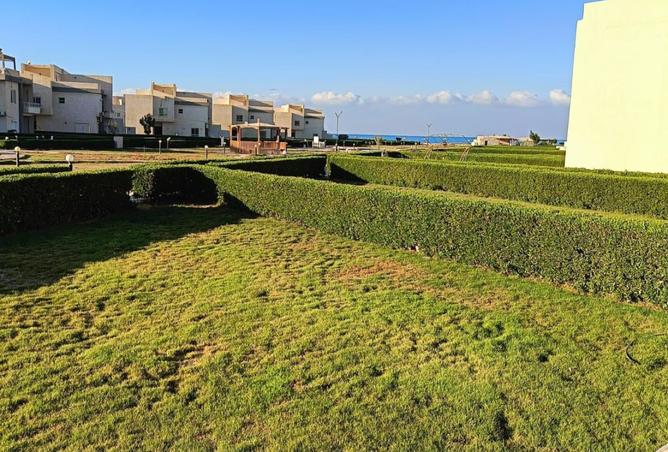 8409059 - Property Image 3