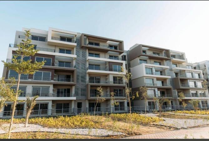 8283279 - Property Image 2