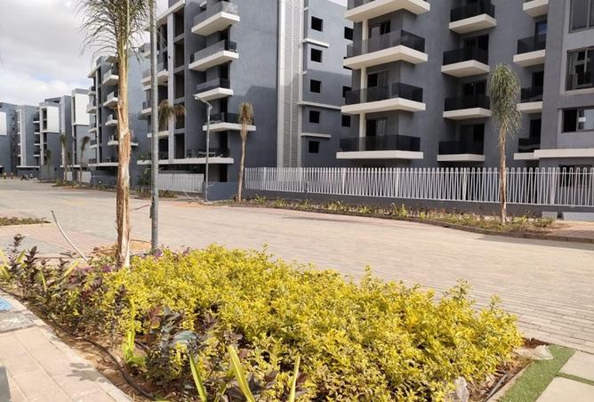 8045829 - Property Image 3