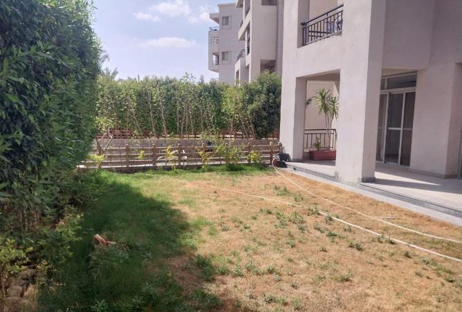 7968403 - صورة العقار 3