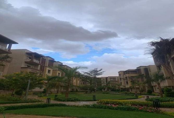 7935256 - صورة العقار 3