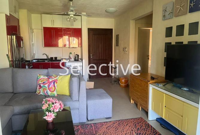 8244480 - Property Image 3