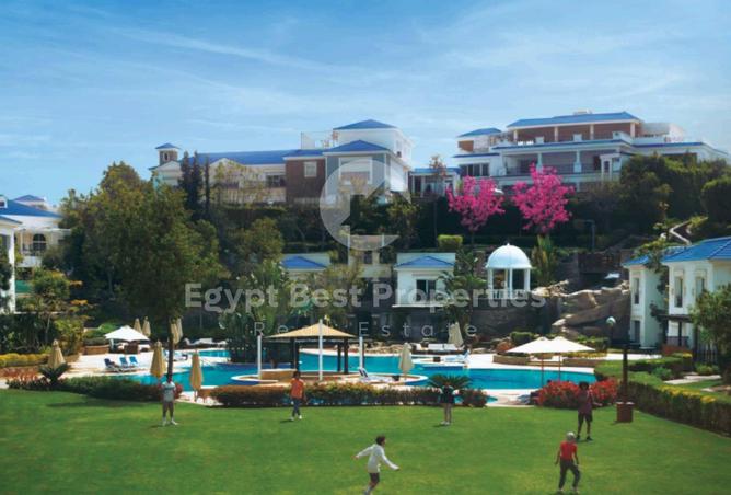 8367261 - Property Image 3