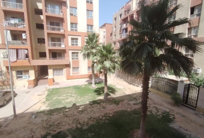 8100197 - صورة العقار 3