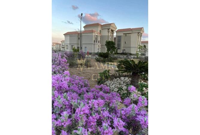 7976737 - Property Image 2