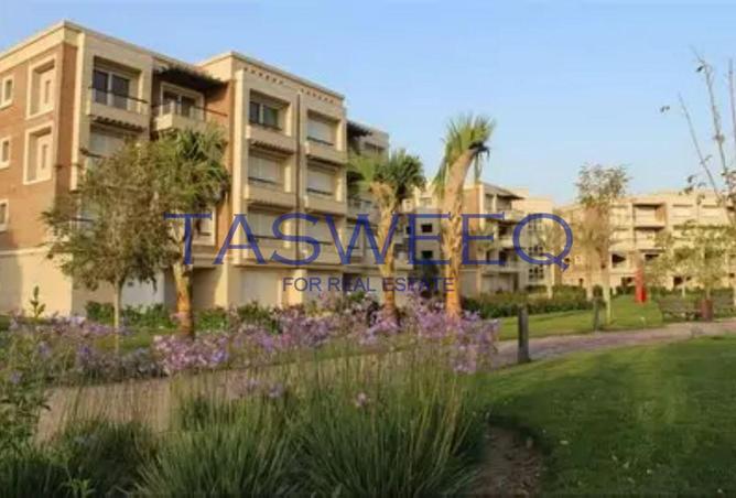 8136896 - Property Image 2