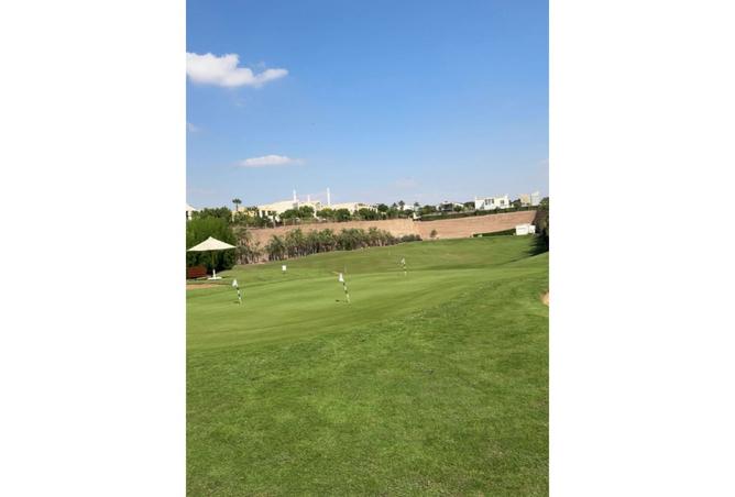 8160004 - صورة العقار 3