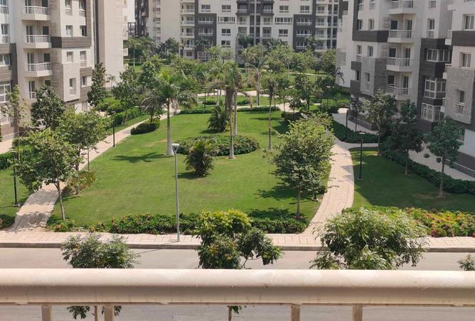 8019221 - الصورة الرئيسية للعقار