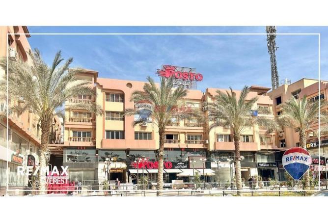 8193238 - Property Image 3