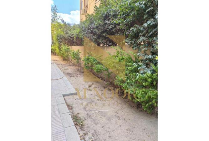 8524341 - Property Image 2