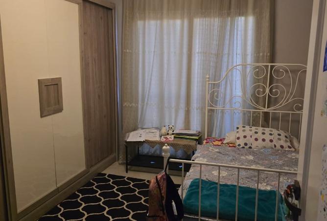 8241497 - Property Image 2