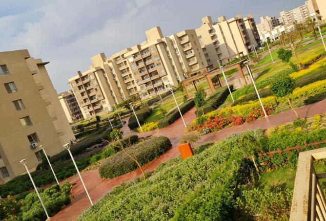 8176067 - Property Image 2