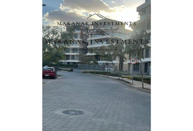 8396937 - Property Image 3