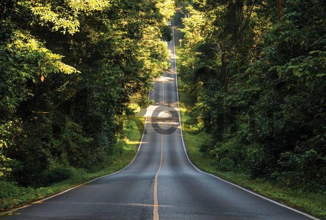 8401247 - صورة العقار 3