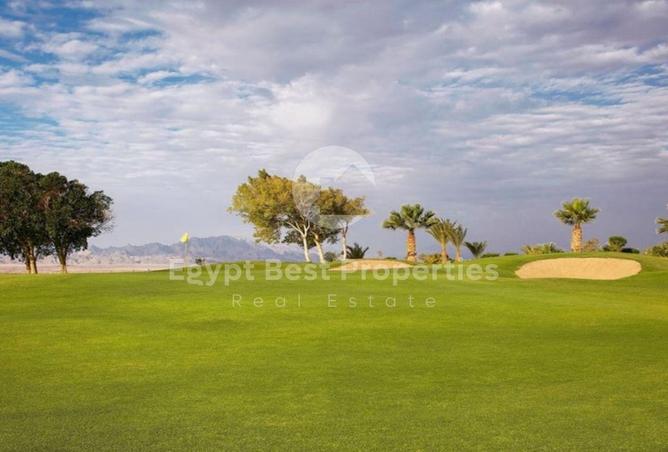 8126563 - صورة العقار 3