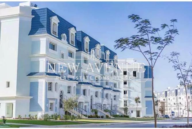 8203858 - Property Main Image