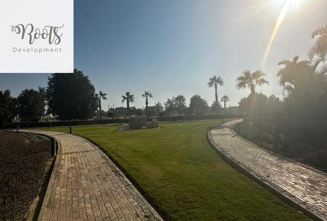 8439304 - Property Image 3