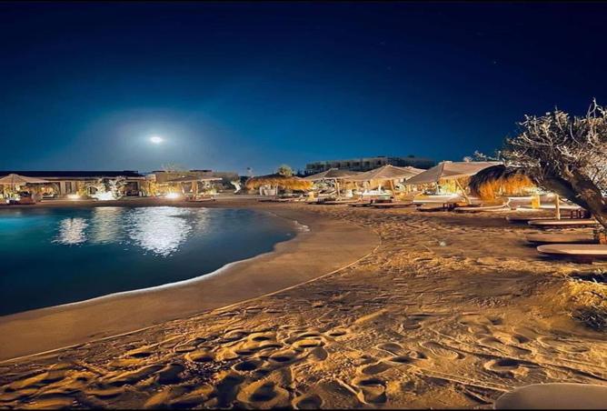 7971009 - صورة العقار 2