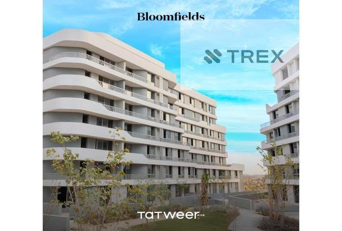 8312667 - صورة العقار 2