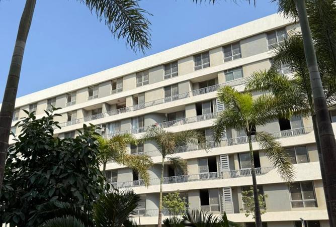 8412078 - صورة العقار 3