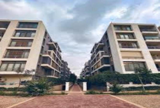 8088394 - Property Image 3