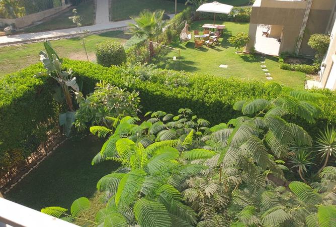 8370861 - صورة العقار 3