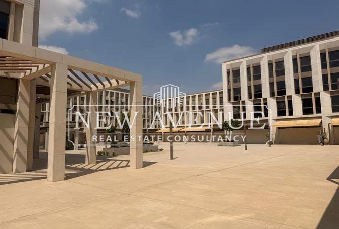 7991094 - Property Image 3