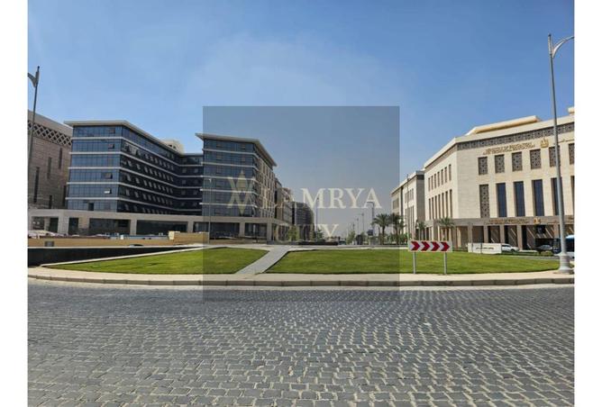 8359142 - Property Image 3