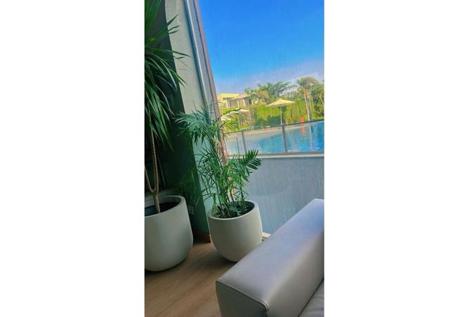 8159096 - Property Image 3