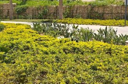 Apartment - 3 Bedrooms - 3 Bathrooms for sale in Sodic East - 6th District - New Heliopolis - Cairo