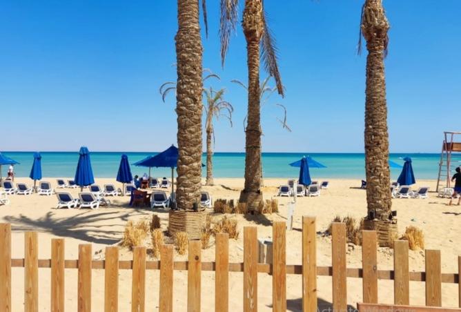 8190656 - صورة العقار 2