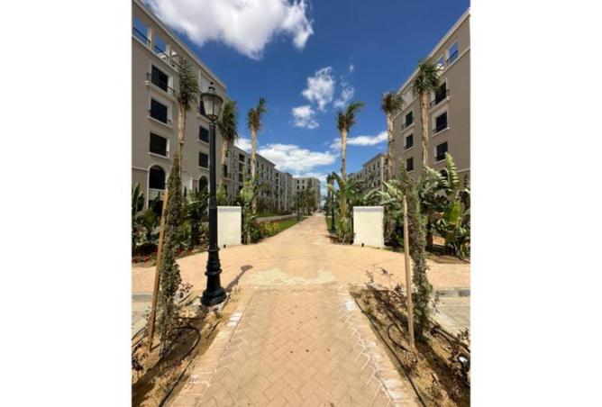 8236547 - Property Image 2